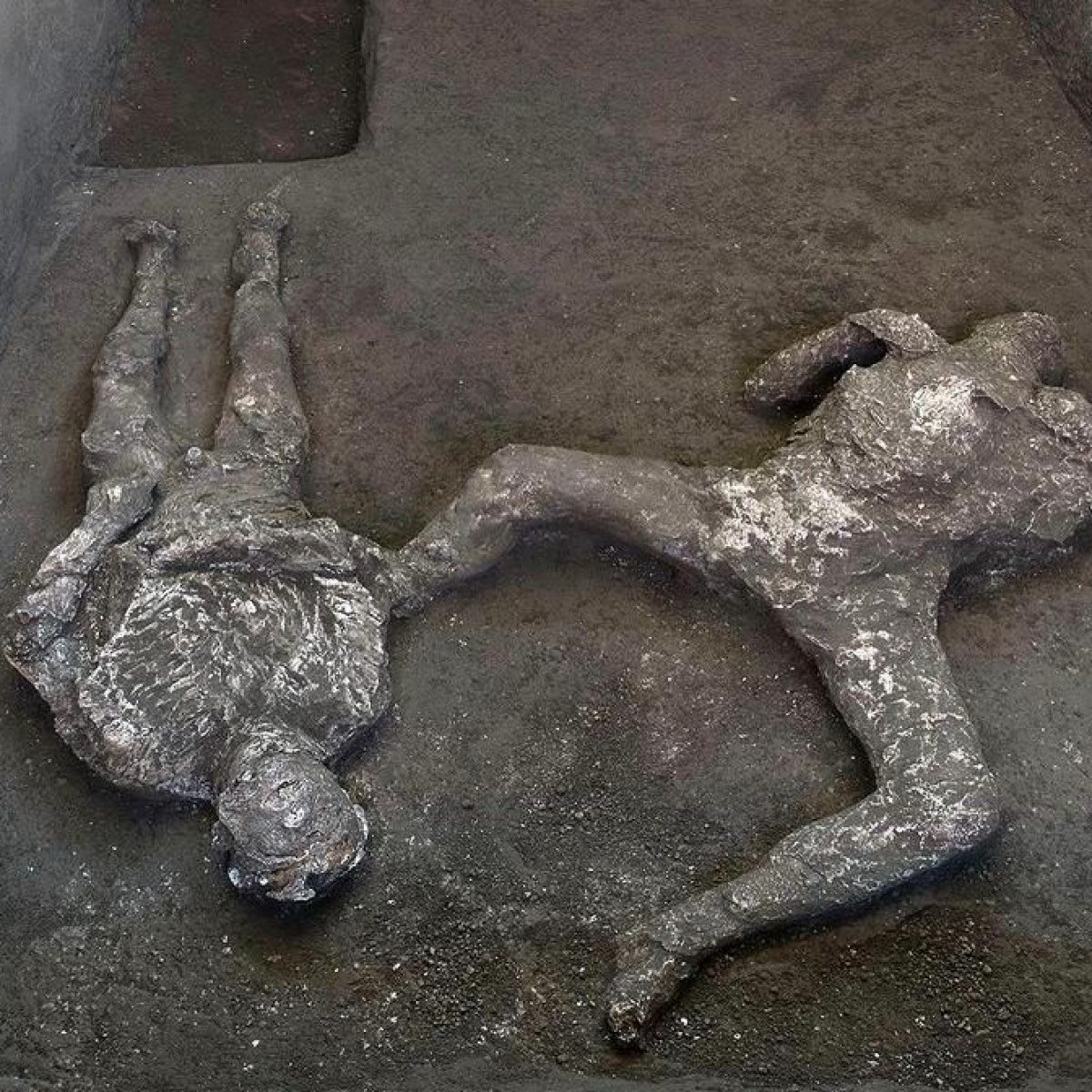 nuova scoperta scavi pompei